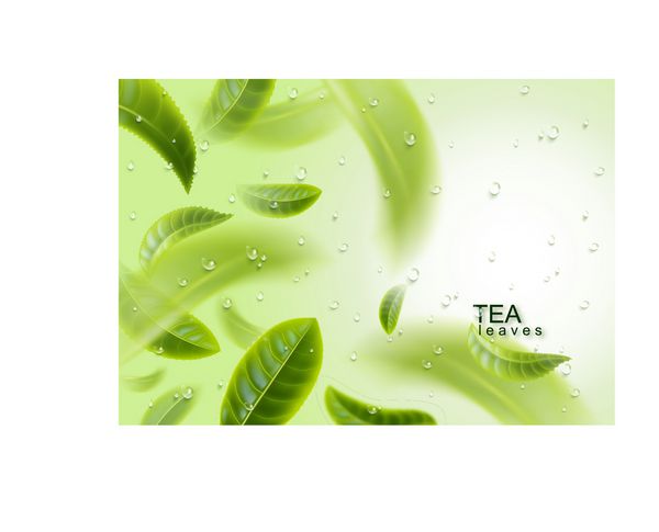 چای برگ پس زمینه چای سبز و آب قطره برگ های چای در هوا می چرخند تصویر برداری