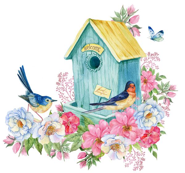 پرنده خانه پرستو و پرنده آبی پروانه تصویر آبرنگ بهار کارت