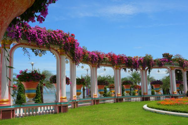 باغ سرسبز زیبا در باغ گرمسیری تایلند