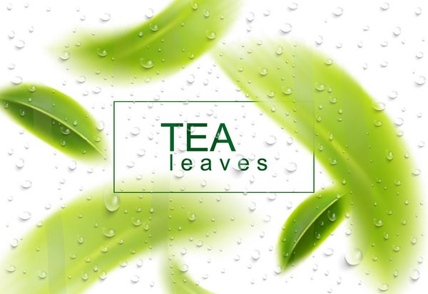 چای برگ پس زمینه چای سبز و آب قطره برگ های چای در هوا می چرخند تصویر برداری