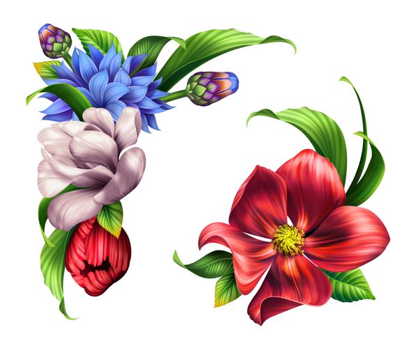 تصویر برداری از گیاهان زینتی گل و گیاه گل و گیاه عناصر طراحی گل گوشه ای تصویر برداری جدا شده بر روی زمینه سفید