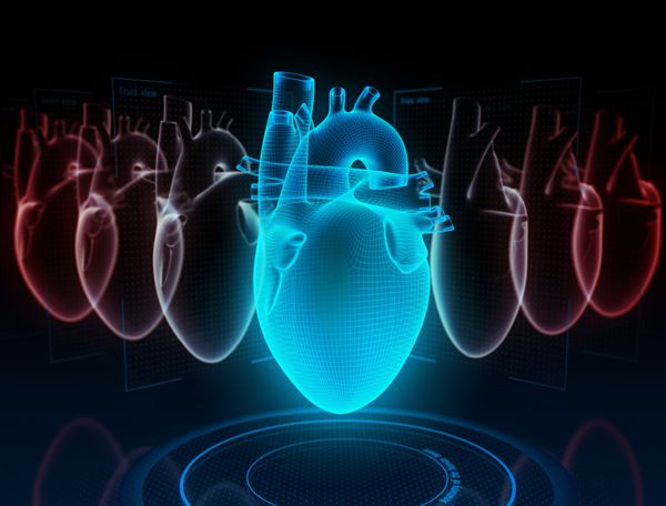 تحقیق قلب بر روی مدل دیجیتال در واقعیت مجازی تصویر 3D