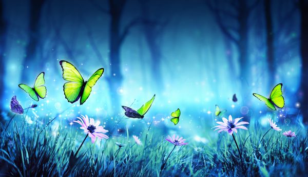 پروانه ها پری در جنگل عارف حاوی تصویر 3d