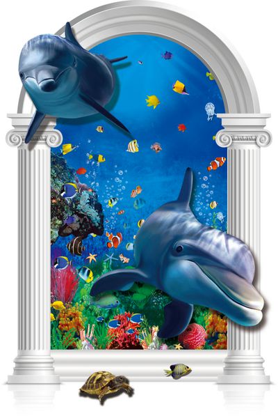دلفین های 3D خارج از پنجره