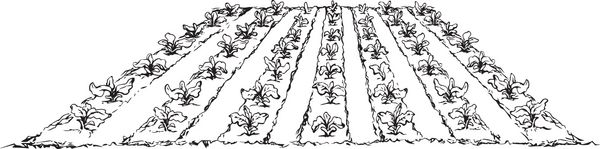 فرهنگ فلور بوش رسیده گیاه زینتی Eco سبز کاشت بر روی خاکستر زراعت مالچ پچ جدا شده بر روی زمینه سفید نقاشی خط خطی طراحی صحنه ای از وگان را در سبک کارتونی دودل و فضا برای متن به تصویر کشیده است