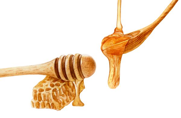 مموری استیک عسل آبرنگ لانه زنبوری قاشق چوبی چکیدن عسل جدا شده در پس زمینه سفید دسر خوشمزه