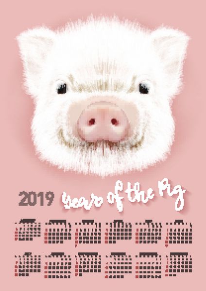 تقویم خوک برای سال 2019 قالب قالب برداری قابل ویرایش با مفهوم نماد سال در تقویم چینی تصویر برداری واقعی
