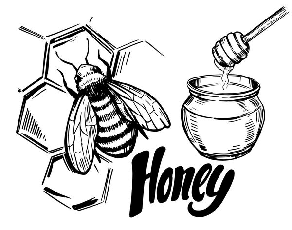طرح عناصر عسل تصویر برداری دست کشیده شده به بردار تبدیل شده است