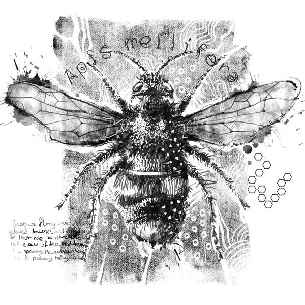 نقاشی دیجیتال طراحی گرافیک زنبور عسل