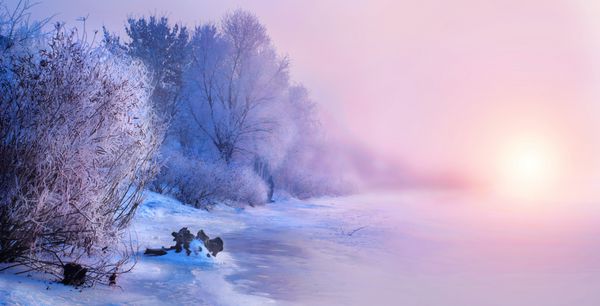 پس زمینه منظره چشم انداز زمستانی با برف پوشیده شده درختان و رودخانه یخ زیبایی زمستان زمستان سرزمین عجایب درختان یخ زده در جنگل های برفی طبیعت زمستان مناسب در نور خورشید کریسمس
