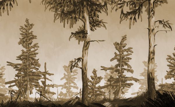 جنگل کاج نقاشی