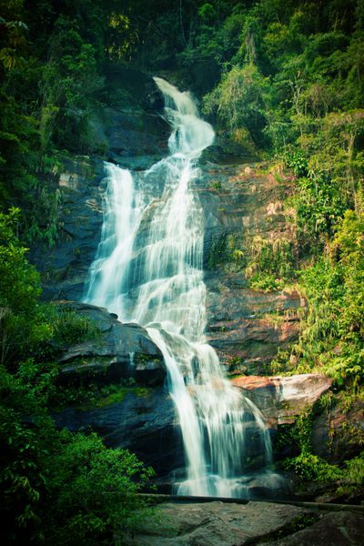 آبشار در پارک ملی Tijuca در ریو دو ژانیرو برزیل