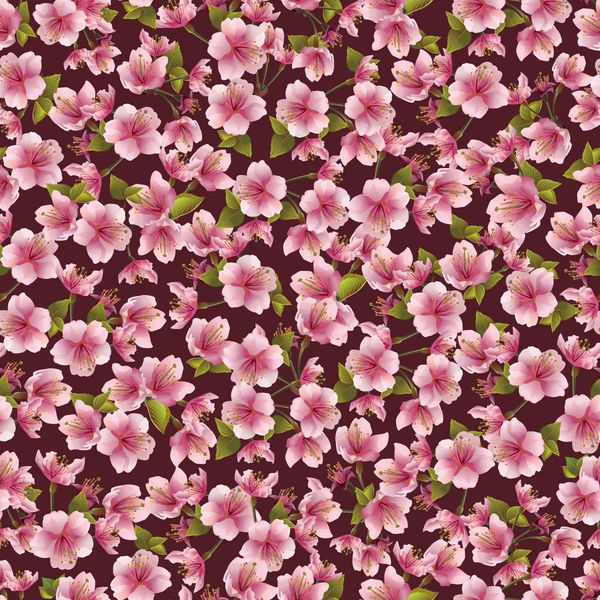 پس زمینه بدون درز الگوی با شکوفه شکوفه و ژاپنی گیلاس گیلاس تصویر برداری