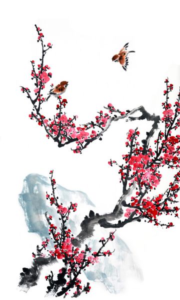 شکوفه آلو بر روی زمینه سفید نقاشی چینی سنتی