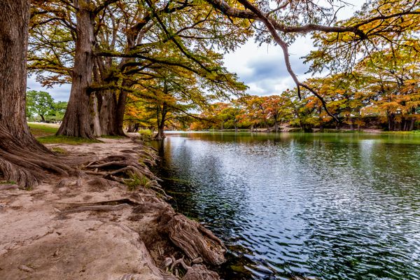 Fallia Fall Fall Outdoors در اطراف رودخانه Frio Crystal Clear Emerald Green در پارک گارنر تگزاس