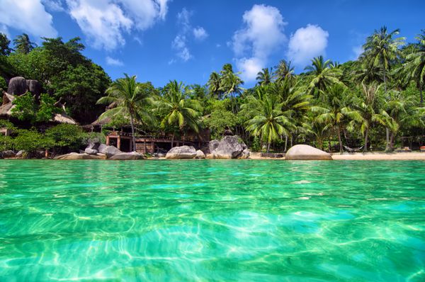 ساحل دوست داشتنی با آب فیروزه ای و درختان نخل سبز در جزیره گرمسیری