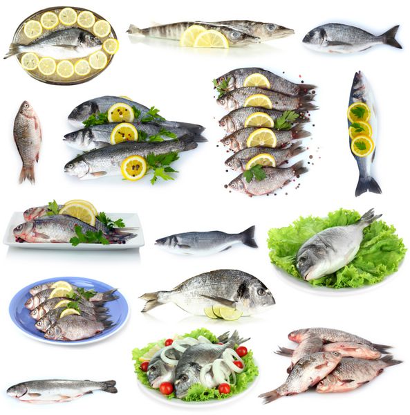 غذاهای ماهی و ماهی تازه بر روی سفید