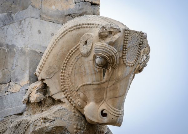 مجسمه اسب از تخت جمشید پایتخت معروف امپراتوری هخامنشیان میراث جهانی یونسکو
