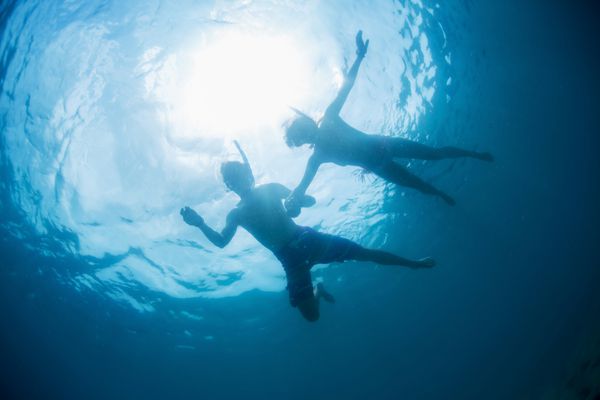 Snorkeling زن و شوهر در یک دریای آبی گرمسیری