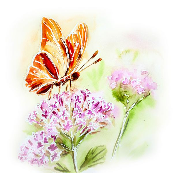 کارت آبرنگ رنگ با گل تابستان و پروانه