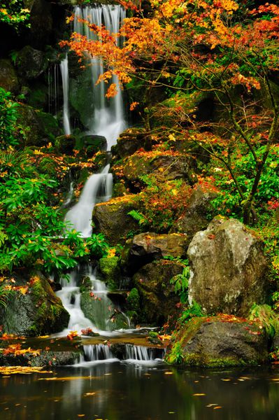 یک آبشار زیبا وحشی که در پاییز به یک استخر می رسد