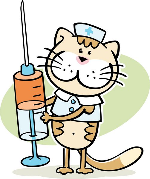 گربه کارتونی شخصیت دامپزشک با سرنگ