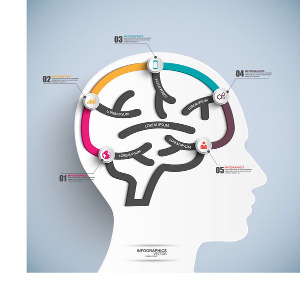 Infographics قالب مغز بردار مغز