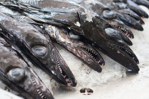 ماهی سیاه چاقو در بازار