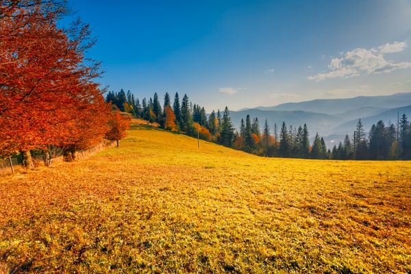 چشم انداز پاییزی رنگارنگ کوه های کارپات اوکراین اروپا