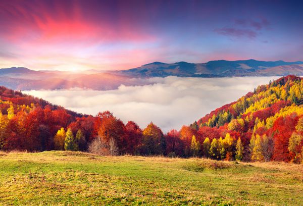 صبح پاییز رنگارنگ در کوه های کارپات ریج Sokilsky اوکراین اروپا