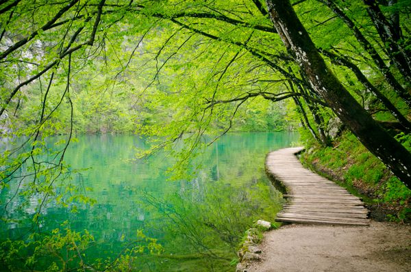 مسیر چوبی در پارک ملی Plitvice کرواسی پیاده روی چوبی در سراسر جریان در جنگل کوه کرواسی