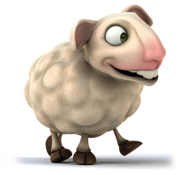 گوسفند پاپ