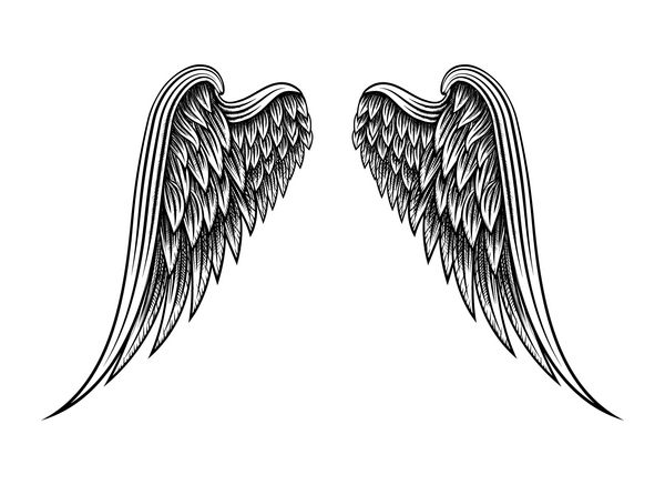 طرح از دو بال کشیده فرشته دست بر روی زمینه سفید است تصویر برداری