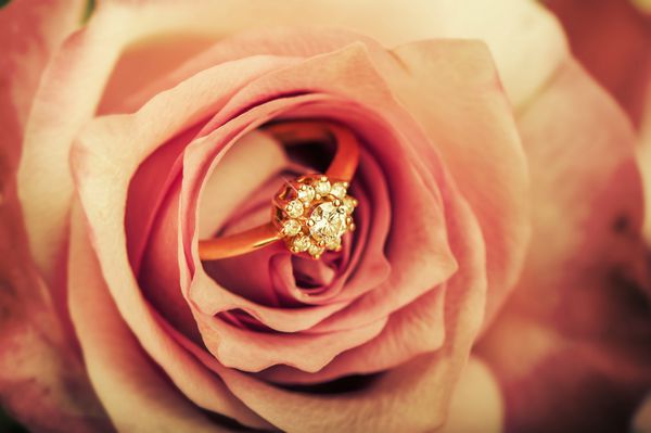 حلقه نامزدی الماس طلا در گل رز زیبا نمایش ماکرو
