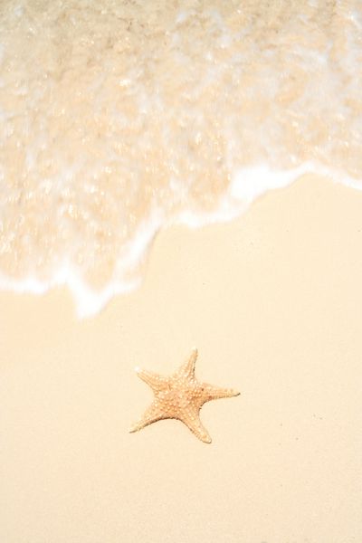 یک ستاره دریایی در کنار ساحل دریا در یک ساحل با ماسه سفید و یک موج قوی در حال نزدیک شدن است