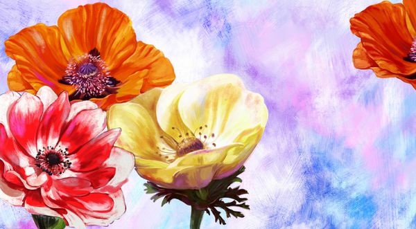 نقاشی گل anemones در پس زمینه رنگی