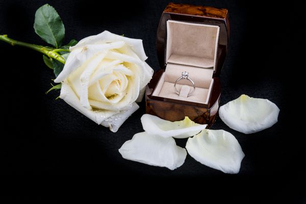 حلقه عروسی در جعبه گل رز سفید در پس زمینه سیاه و سفید