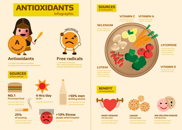 آنتی اکسیدان infographic حاوی منابع رادیکال آزاد منابع آنتی اکسیدان ها و فواید تصویر برداری infographics سلامت