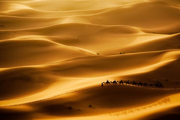 کاروان کاملی که از طریق تپه های شن و ماسه در صحرای صحرا ارگ چببی مارکو می گذرد
