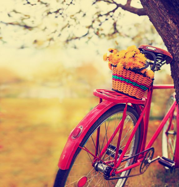 دوچرخه سواری با گل در پس زمینه چشم انداز تصویر تیره