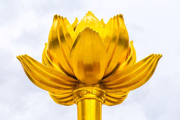 گل لوتوس در مجسمه بلوم کامل در میدان لوتوس طلایی ماکائو