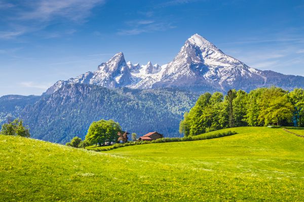 منظره ایده آل در آلپ با مراتع سبز تازه و گل های درخشان و کوه های برفی در پس زمینه Nationalpark Berchtesgadener Land Bavaria Germany