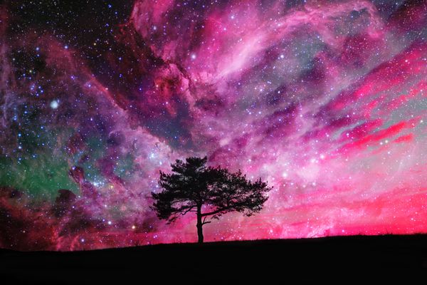 چشم انداز بیگانه قرمز و تنها بافت درخت در آسمان شب با ستارگان زیادی عناصر این تصویر توسط ناسا تامین شده است