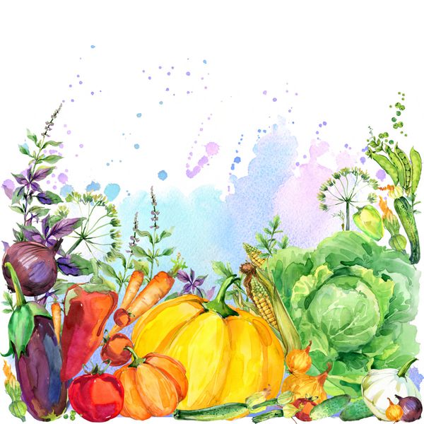 انواع سبزیجات آلی خام تصویر آبرنگ سبزیجات آبی و پس زمینه گیاهان