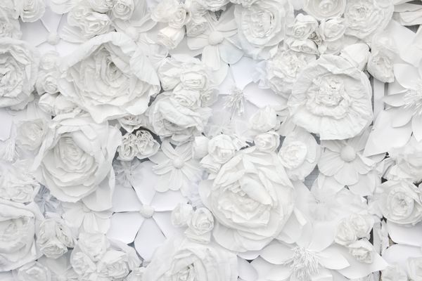 پس زمینه تزئینی از کاغذ سفید گل کاغذ ماشه