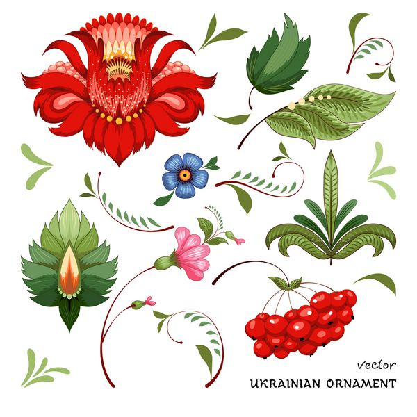 مجموعه ای برای طراحی با گل ها برگ ها و انواع توت ها در سبک نقاشی Petrykivka