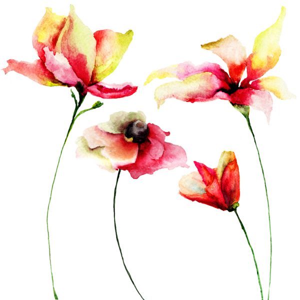 مجموعه ای از گل های آبرنگ عناصر گلچین دست طراحی شده برای طراحی