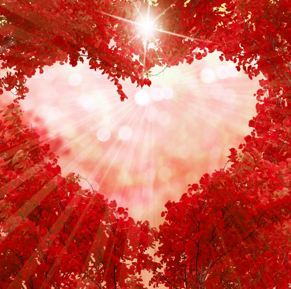 پاییز برگ قرمز به شکل یک قلب است