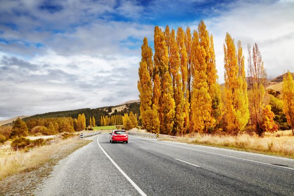 منظره پاییز با ماشین جاده ای و قرمز نیوزیلند