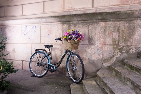 دوچرخه سواری با سبد گل در دیوار قدیمی